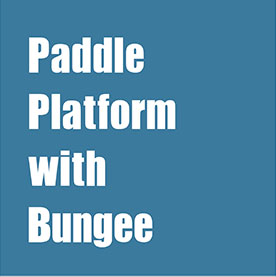 paddla-plattform-med-bungee